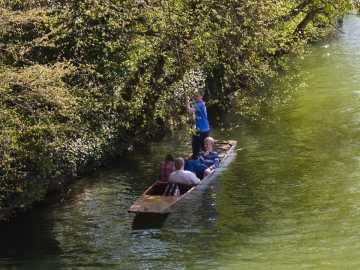 punting